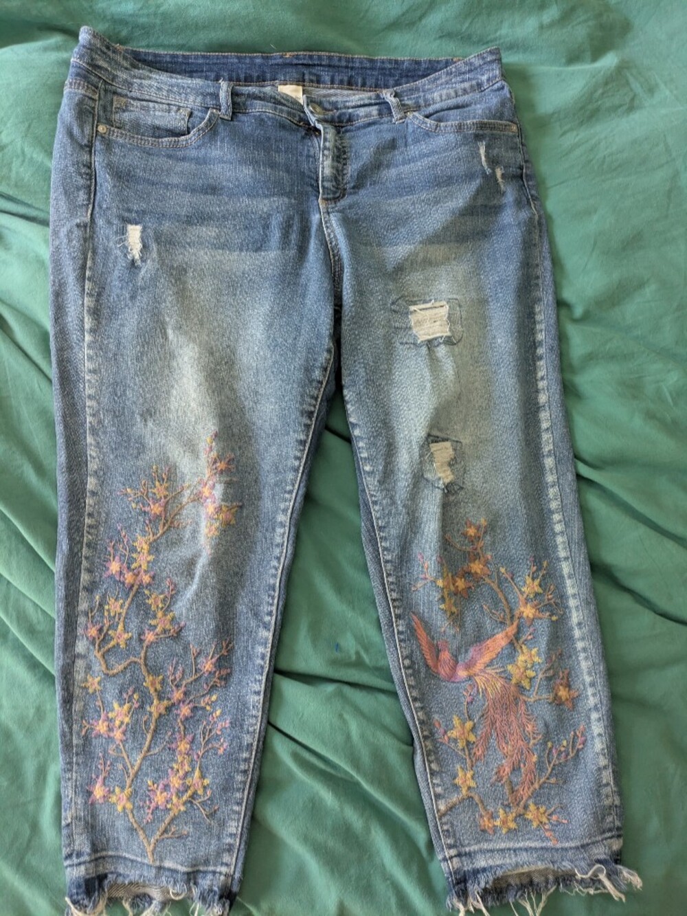 Terra & Sky Light Blue Skinny Ankle Jeans with Pink & Yellow Embroidery